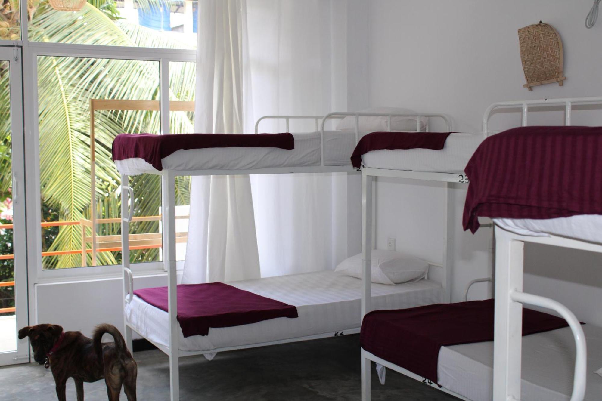 Sun & Moon Hostel Мириса Екстериор снимка